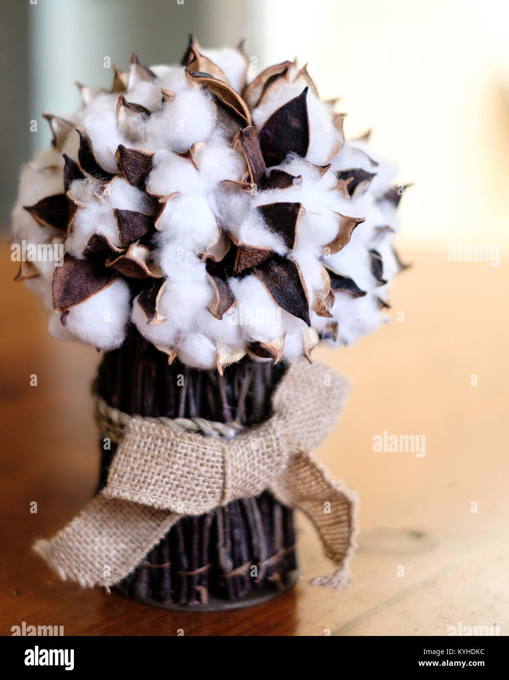 A decorative bunch of cotton in boles, in a container made from sticks. USA. Stock Photo