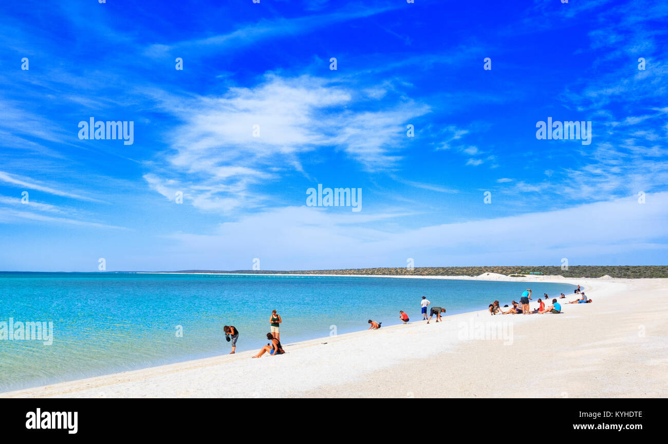 A tour group relaxing on the shores of Shell Beach. Shell Beach Conservation Park, Shark Bay World Heritage Site Stock Photo