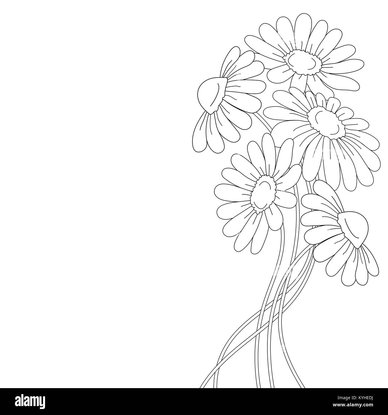 Beautiful daisies isolated on a white background. Stock Vector