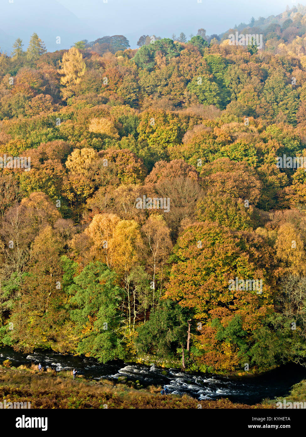 Autumn colour in Penny Rock Wood and River Rothay, Grasmere, Lake District, Cumbria, England, UK Stock Photo