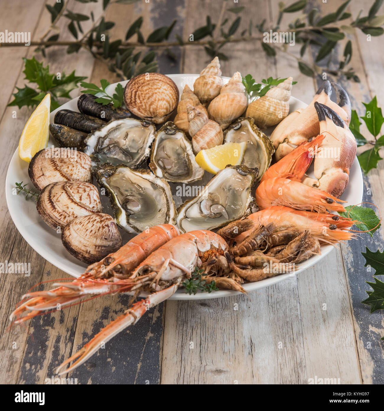 Fresh seafood platter with lobster mussels and oysters, France Stock Photo Alamy