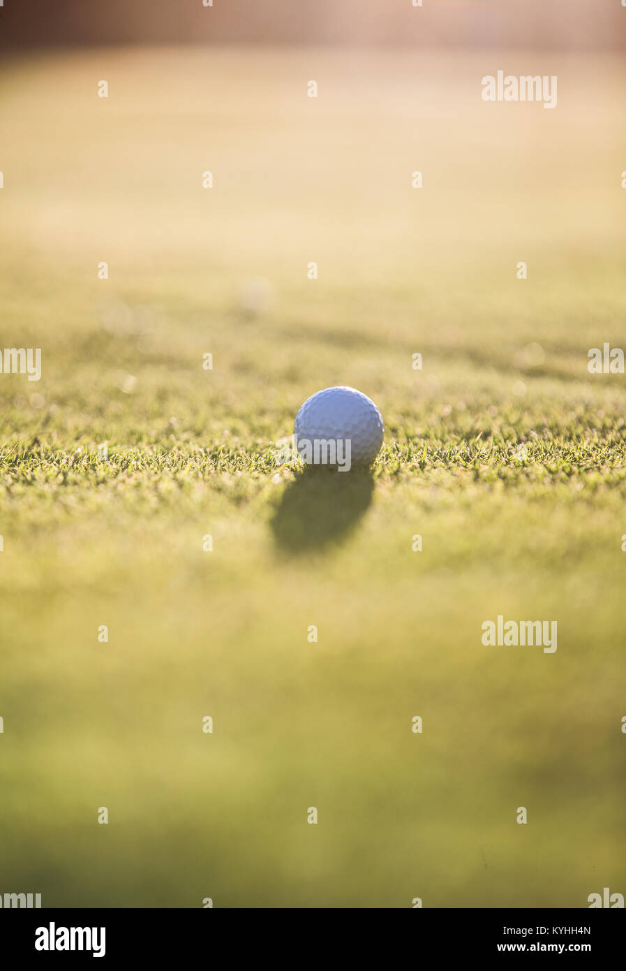 Golf ball on putting green Stock Photo Alamy