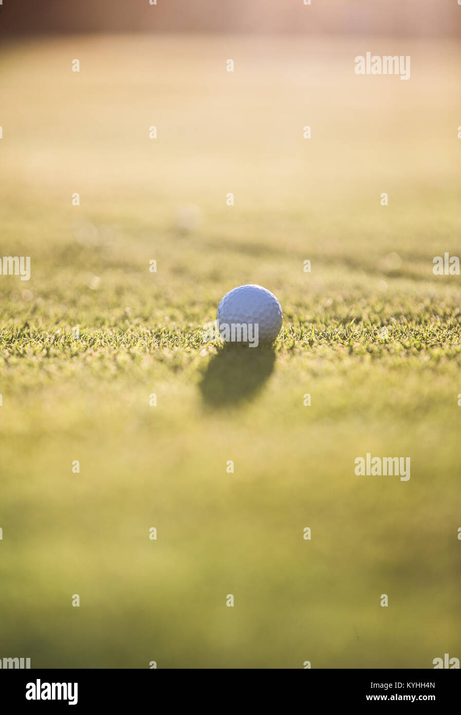 Golf ball on putting green Stock Photo