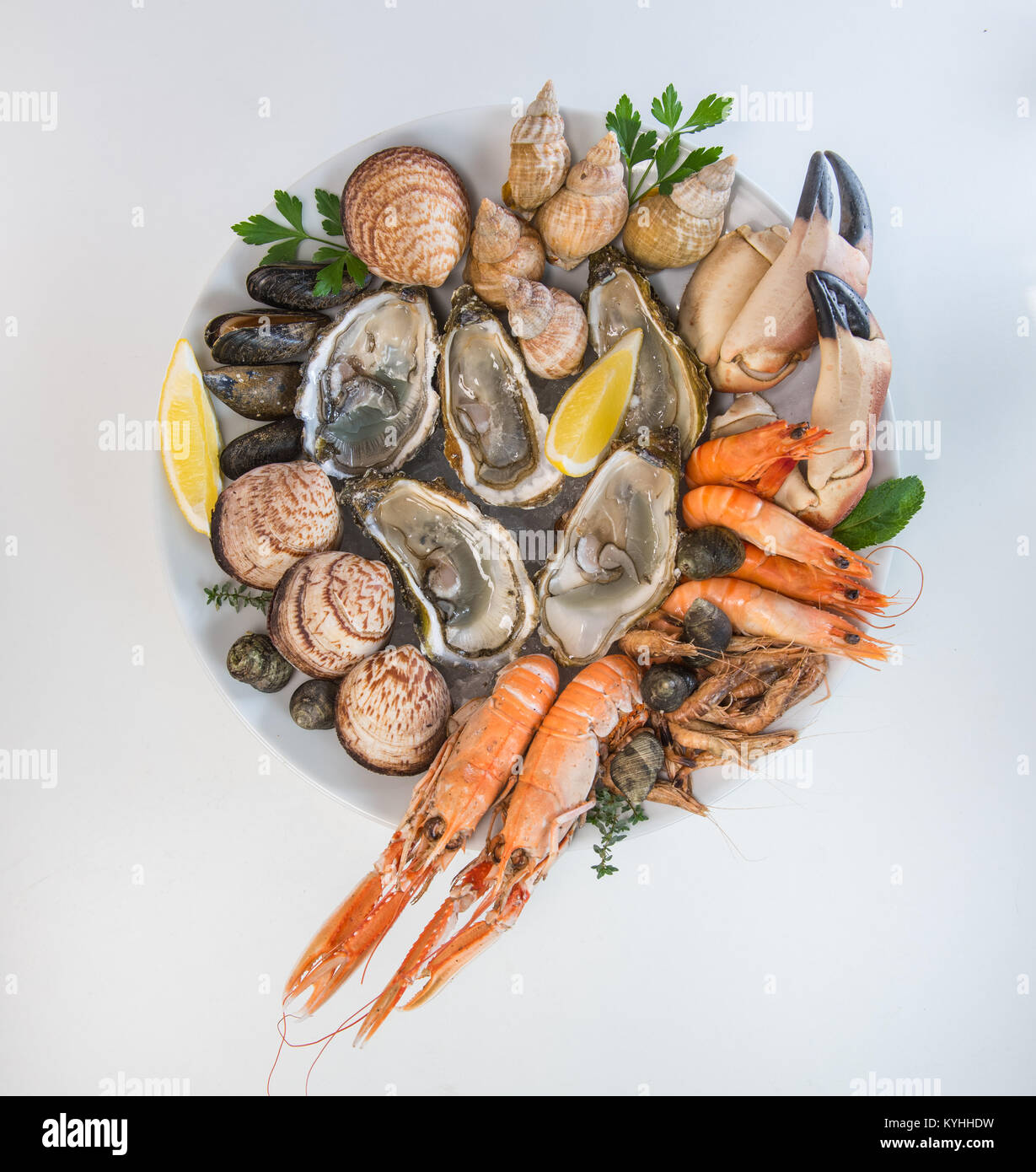 Fresh seafood platter with lobster mussels and oysters, France Stock Photo Alamy