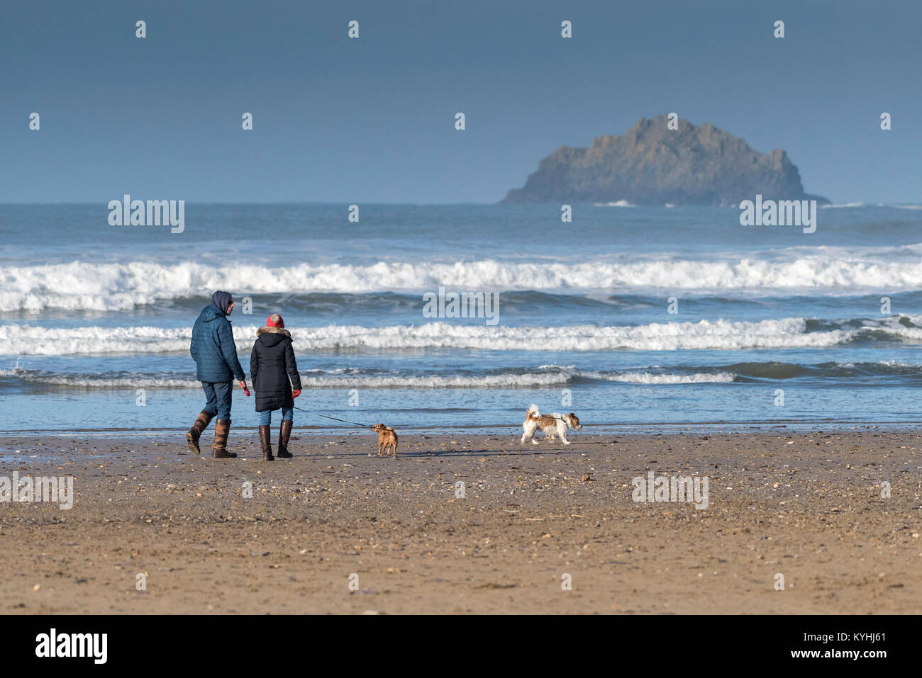 Couple walking dogs on the beach hi-res stock photography and images ...