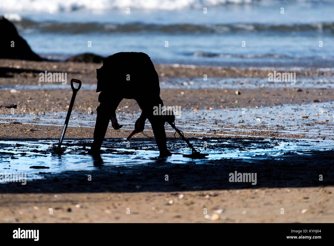 Metal detecting - the silhouette of a metal detectorist searching on Polzeath Beach on the North Cornwall Coast. Stock Photo