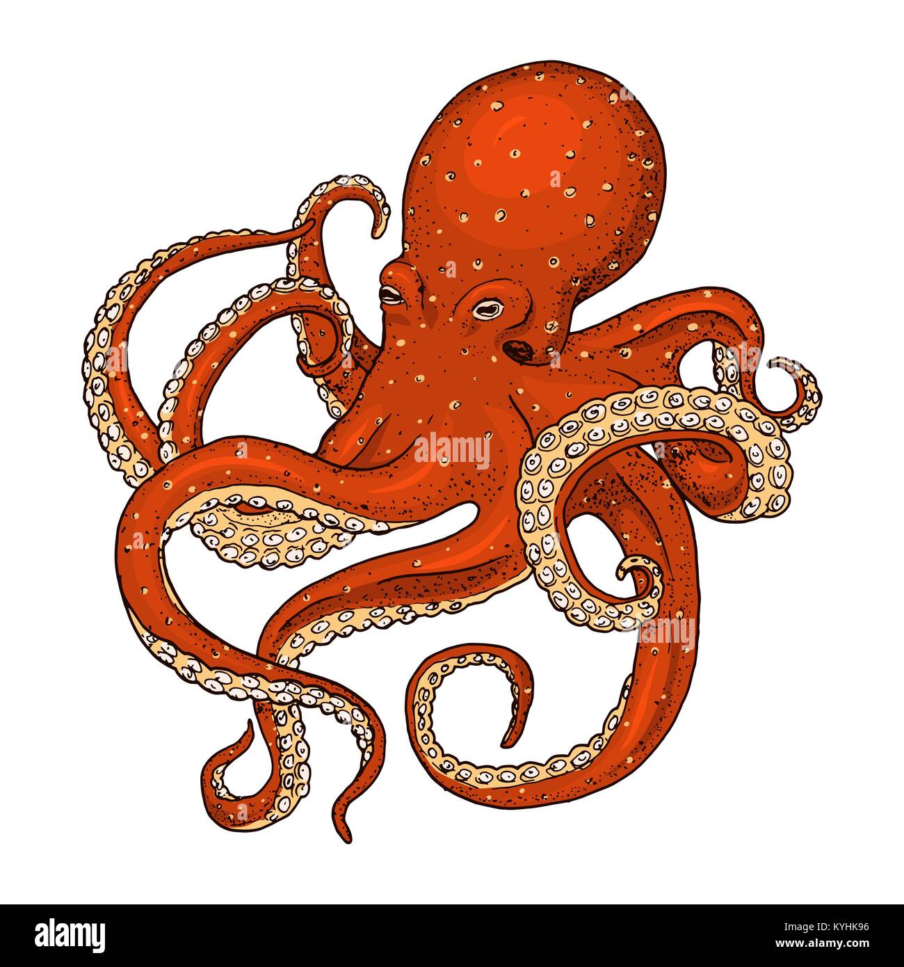 Vintage Dictionary Art Print Octopus orange sea ocean animal nautical fish 
