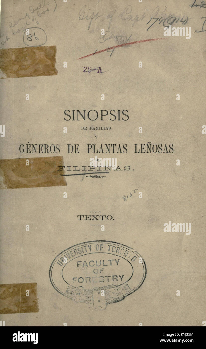 Sinopsis de familias y generos de plantas leñosas de Filipinas, introduccion à la flora forestal del archipelago Filipino BHL16779040 Stock Photo