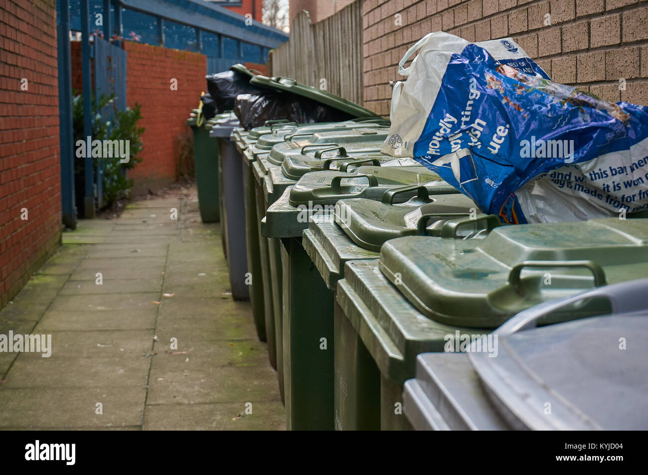 Rows of green and grey bins in Glasgow Stock Photo Alamy