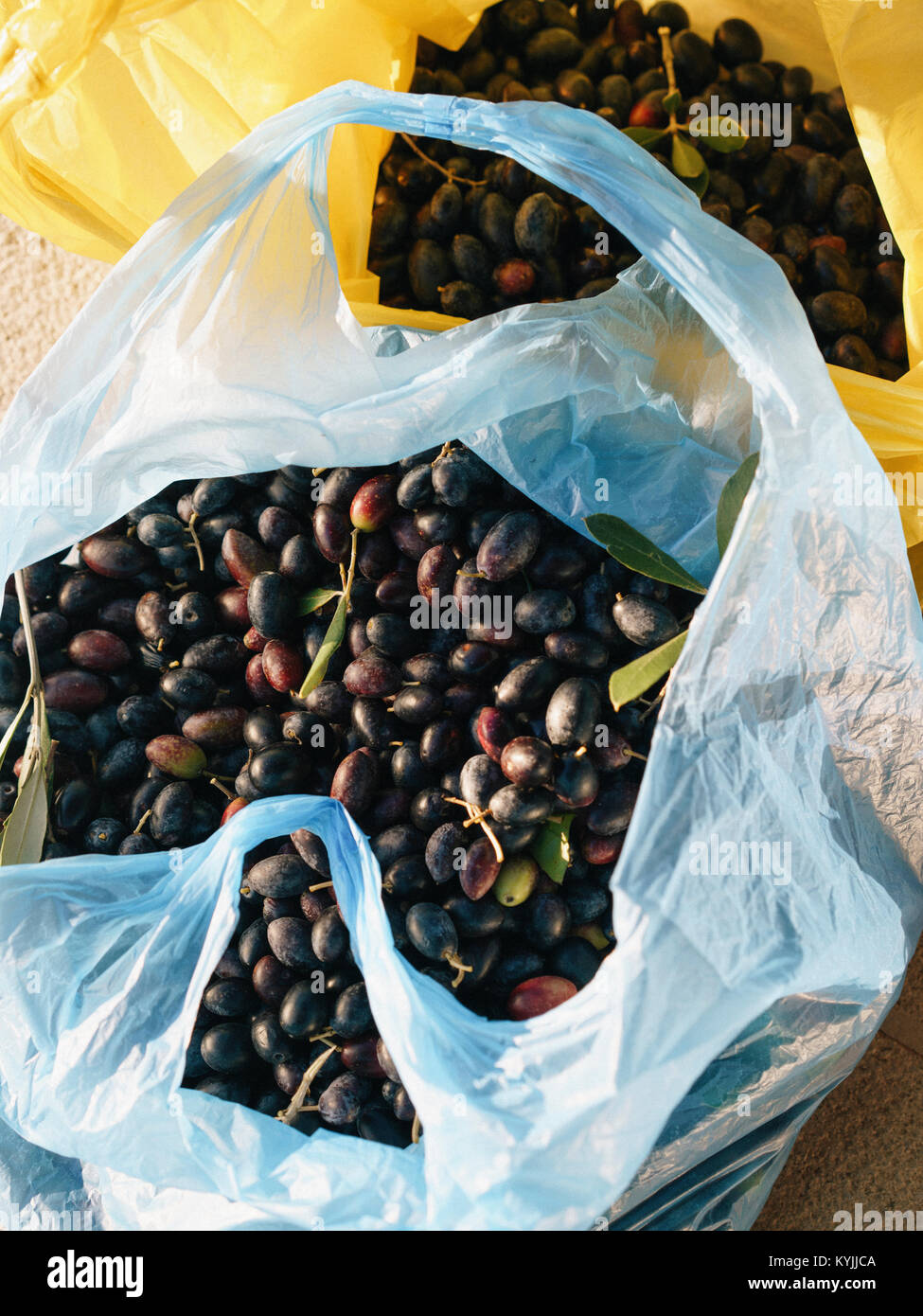 Picked olives hires stock photography and images Alamy