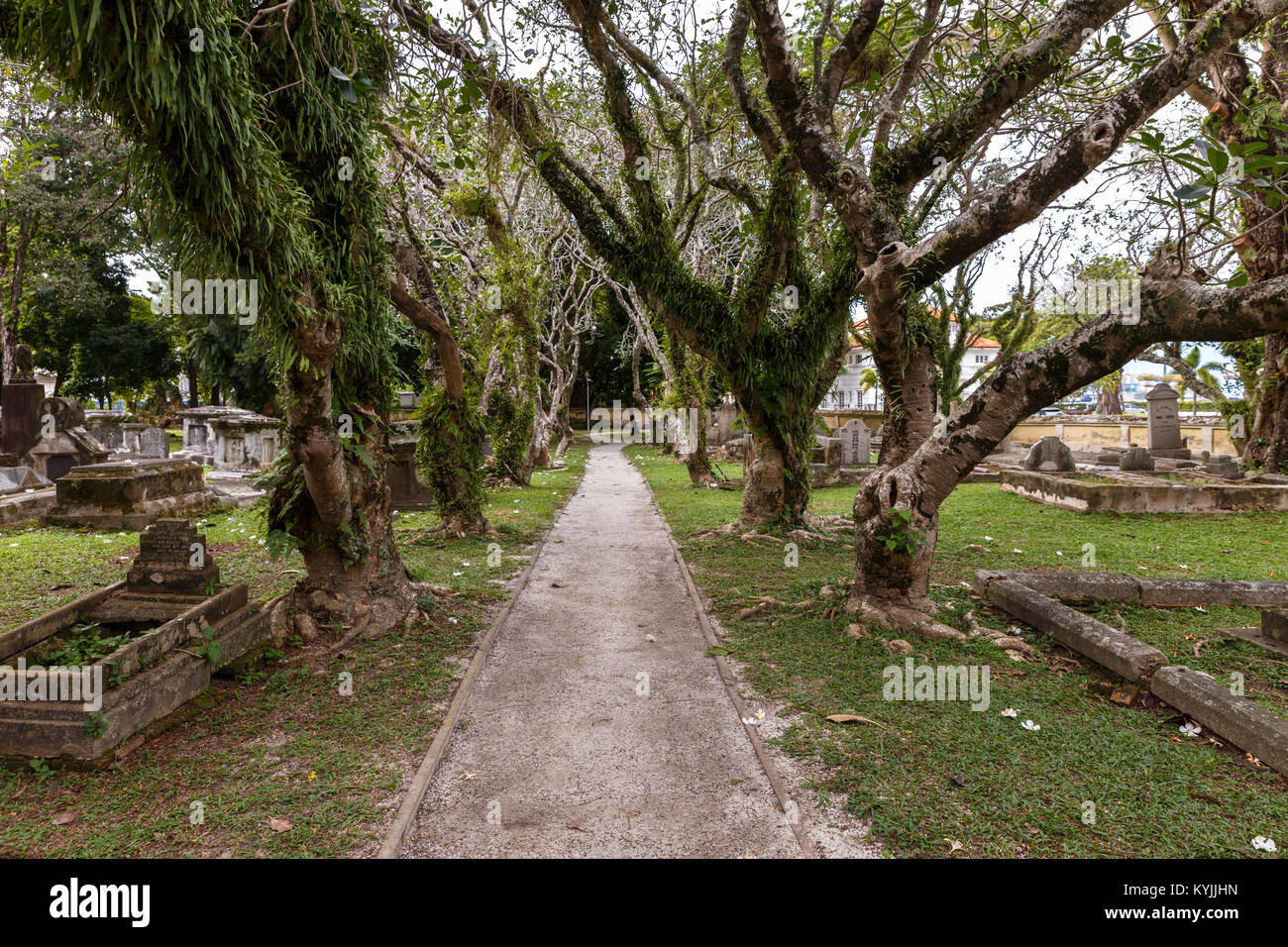 Old Protestant Cemetery in Penang, Malaysia Stock Photo Alamy