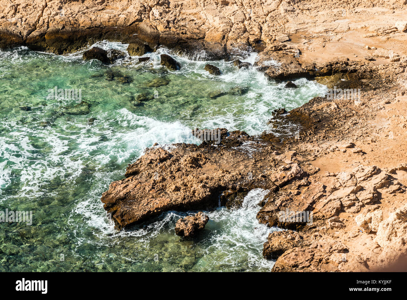 Coral closeup view hi-res stock photography and images - Alamy