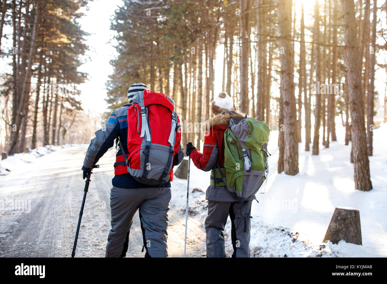 Male and female skiers with backpacks walking through forest, back view Stock Photo