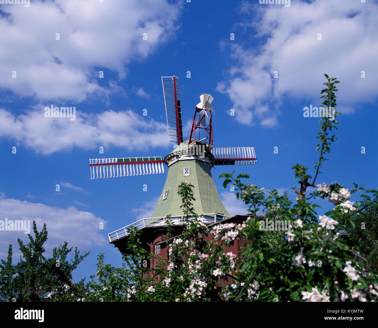 Mill Venti Amica in Twielenfleth near Stade, Altes Land, Lower Saxony, Germany Stock Photo