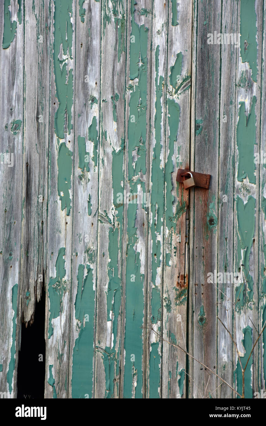 A green painted shabby chic style door with peeling, flaking paintwork and a distressed look or style. Rustic, rural and farmhouse decoration design Stock Photo