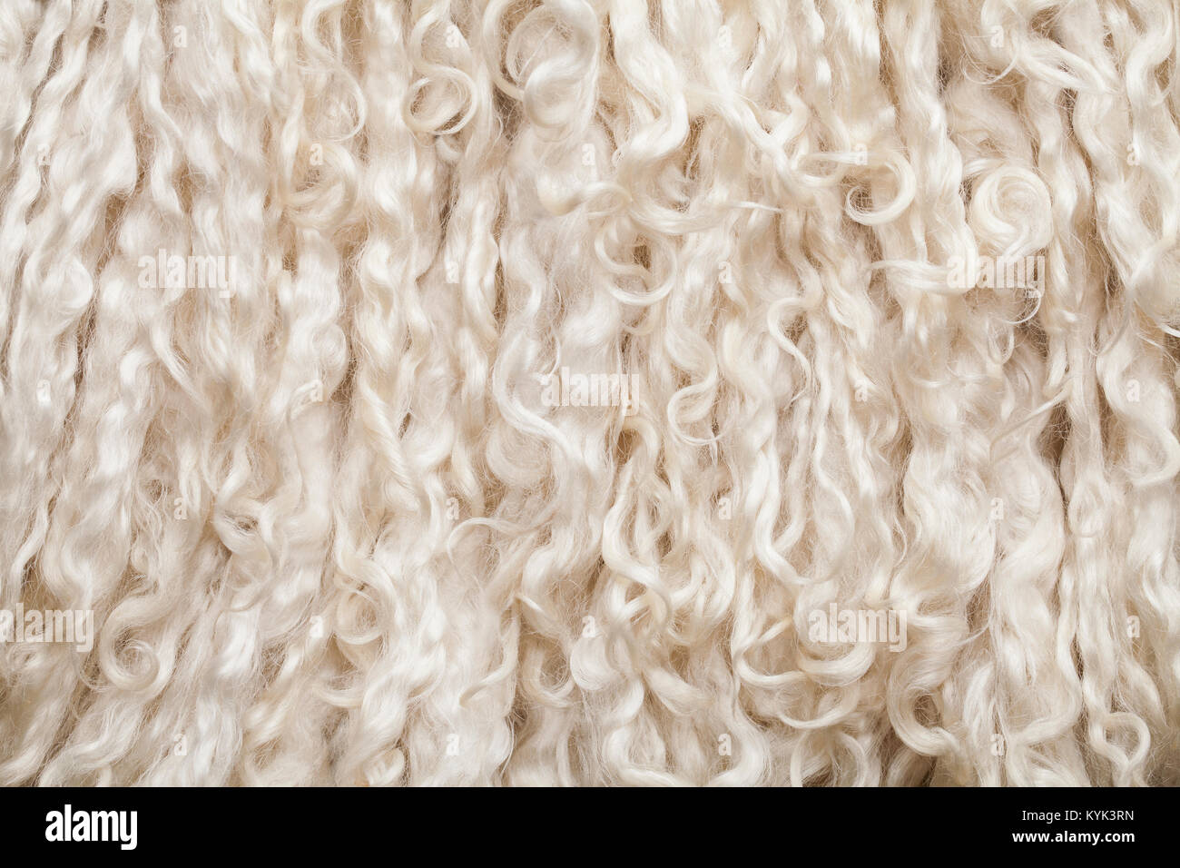 Sheep fur. Wool texture. Closeup background Stock Photo