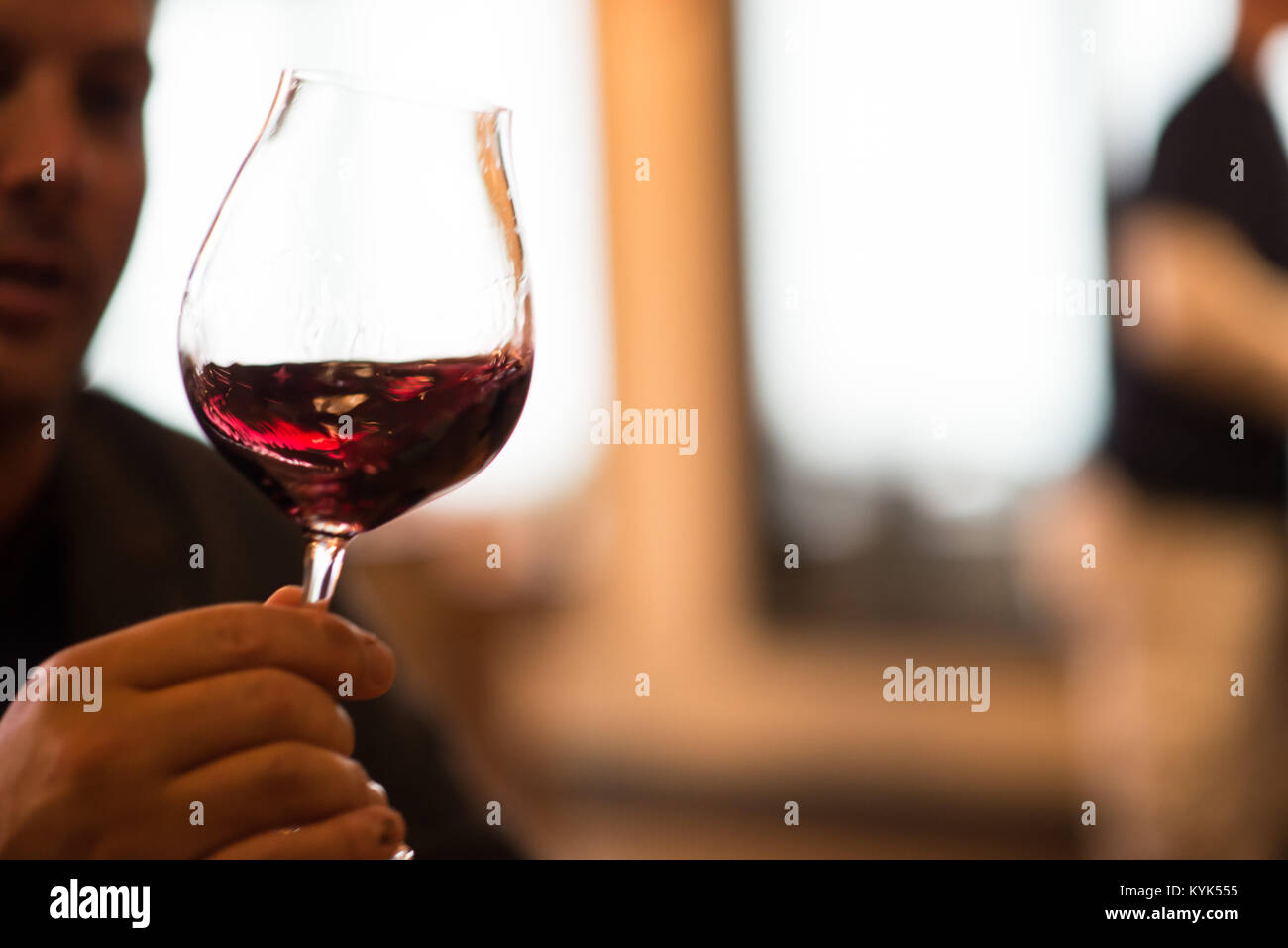 Guy Holding A Wine Glass Stock Photo