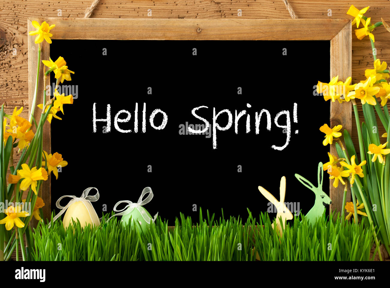 Narcissus, Easter Egg, Bunny, Text Hello Spring Stock Photo