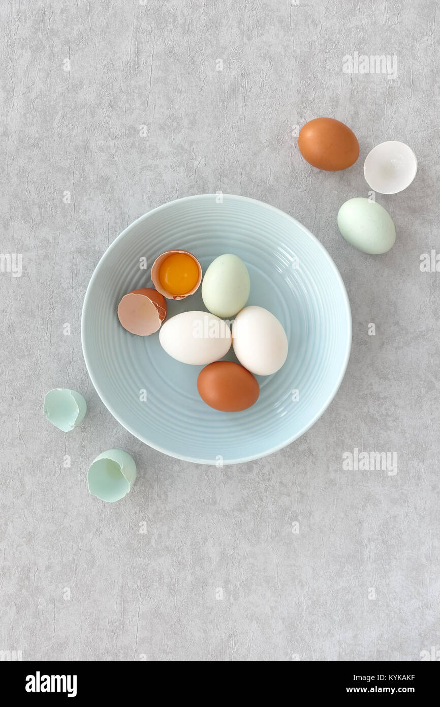 Blue eggs, brown eggs and white duck eggs, whole and halves, in a pastel blue bowl on grey textured background. Top view. Stock Photo