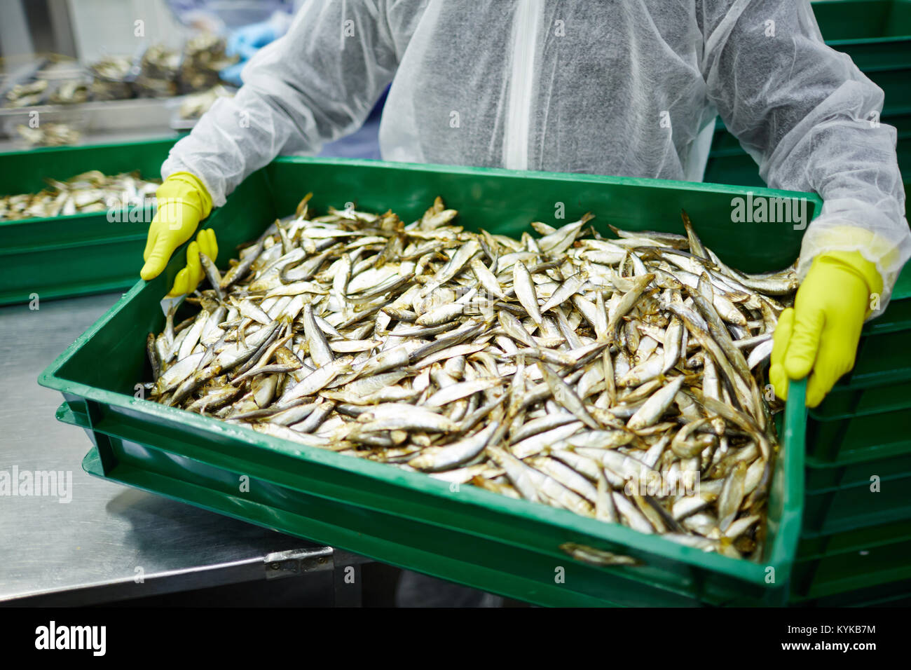 Anchovies in box Stock Photo