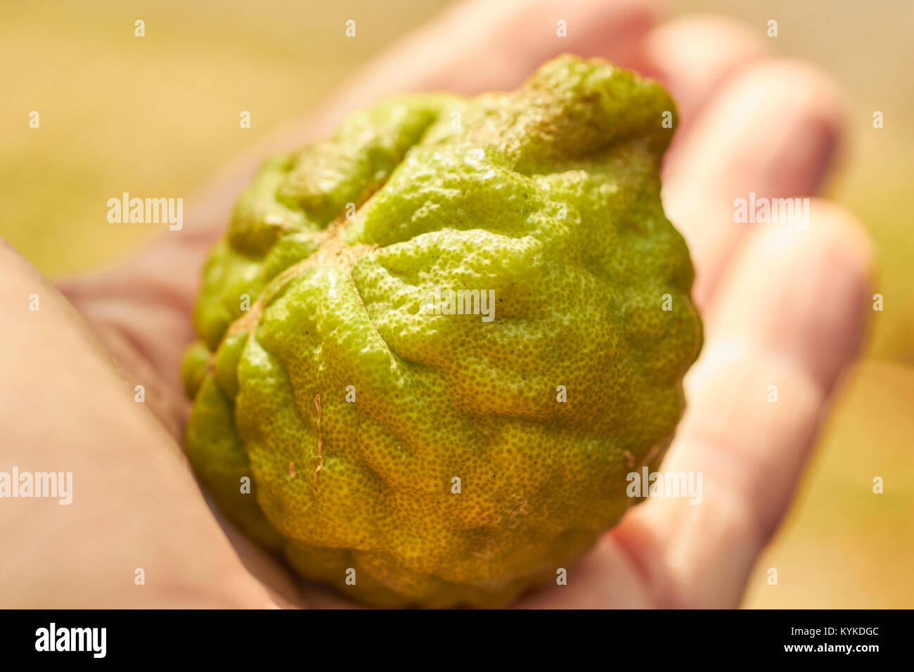 cut open lime high resolution stock photography and images alamy