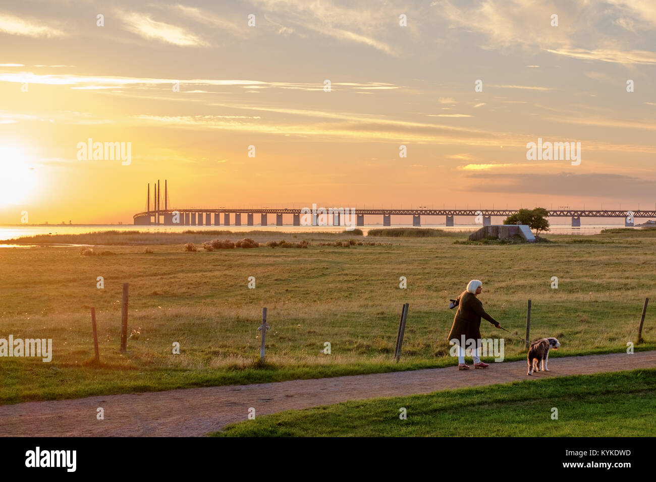 Woman walking a dog in Bunkeflostrand, Malmö during sunset at Oresund and Oresund Bridge. Stock Photo