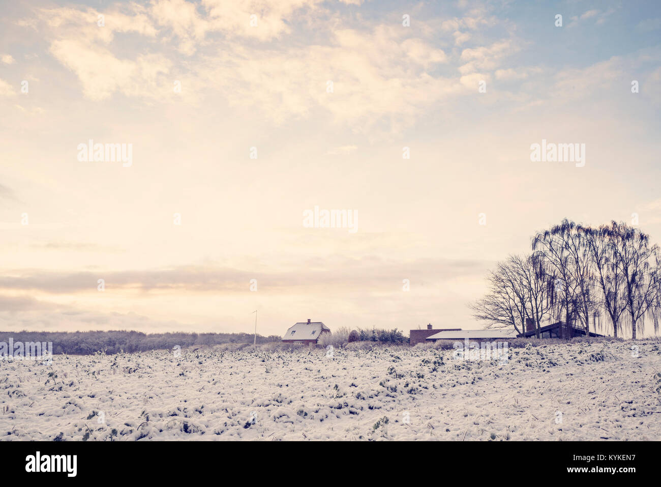 Winter landscape with a small farm house on a rural field with snow in ...