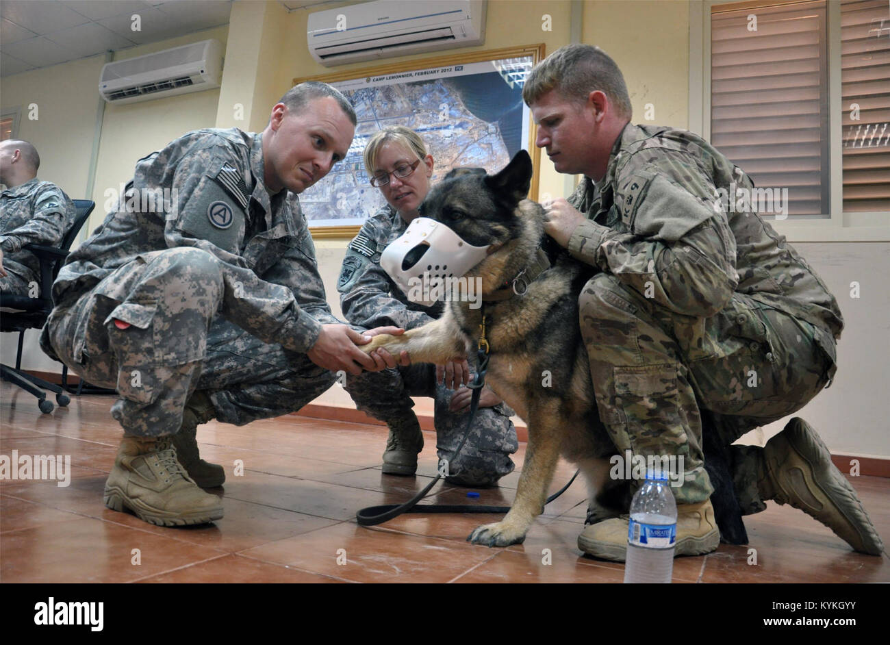 US Army National Guard dog handler with working dog Stock Photo Alamy