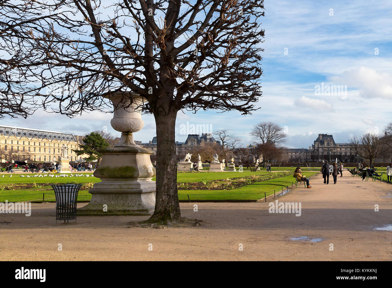 Paris Tuileries Gardens in winter. Tree pruned into formal square shape in the foreground. Stock Photo