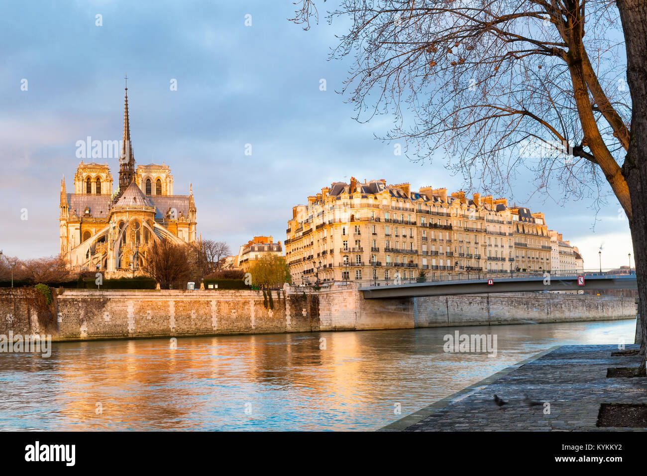 Paris Notre Dame cathedral golden in early morning sunlight. Reflections in the Seine River in the foreground. Wide view. Stock Photo