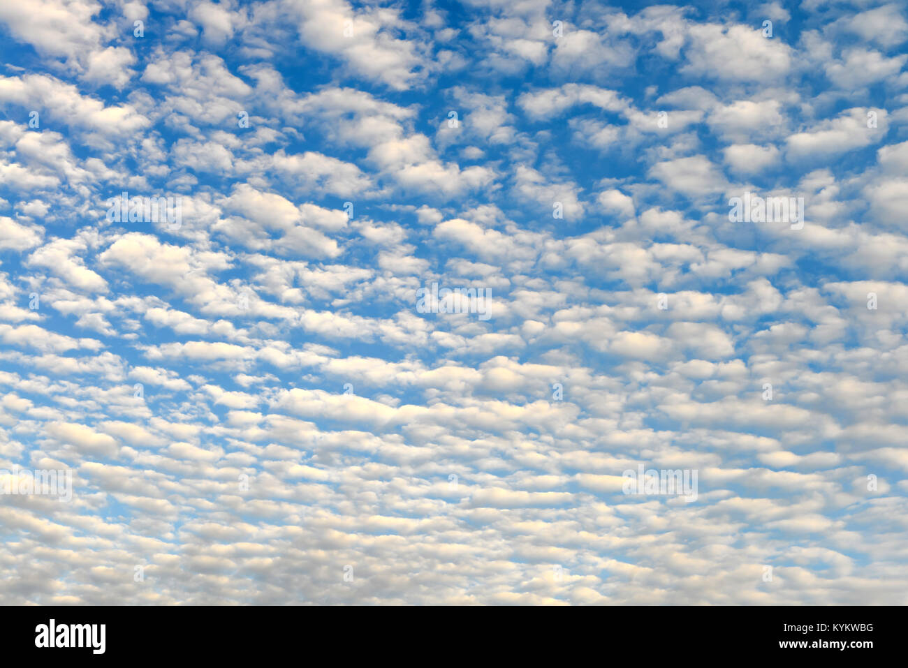 The blue sky and white fluffy clouds Stock Photo - Alamy