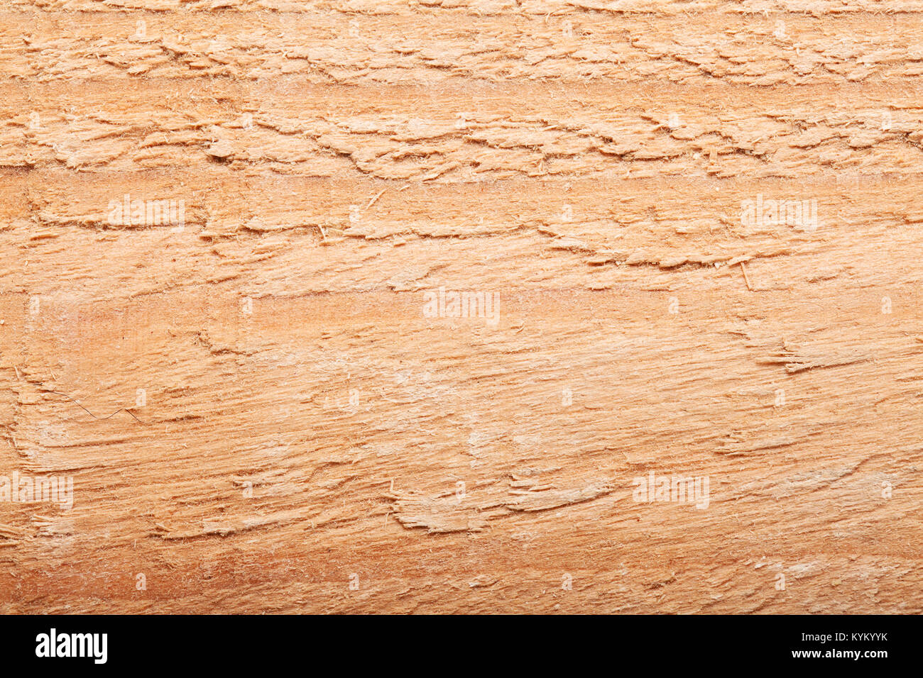 wood cut in hafl, close up abstract shot Stock Photo