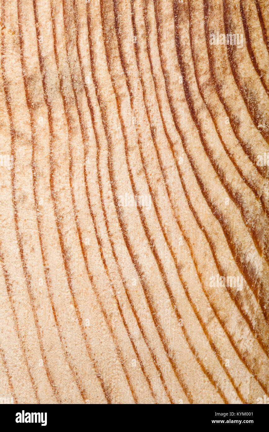 wood cut in hafl, close up abstract shot Stock Photo