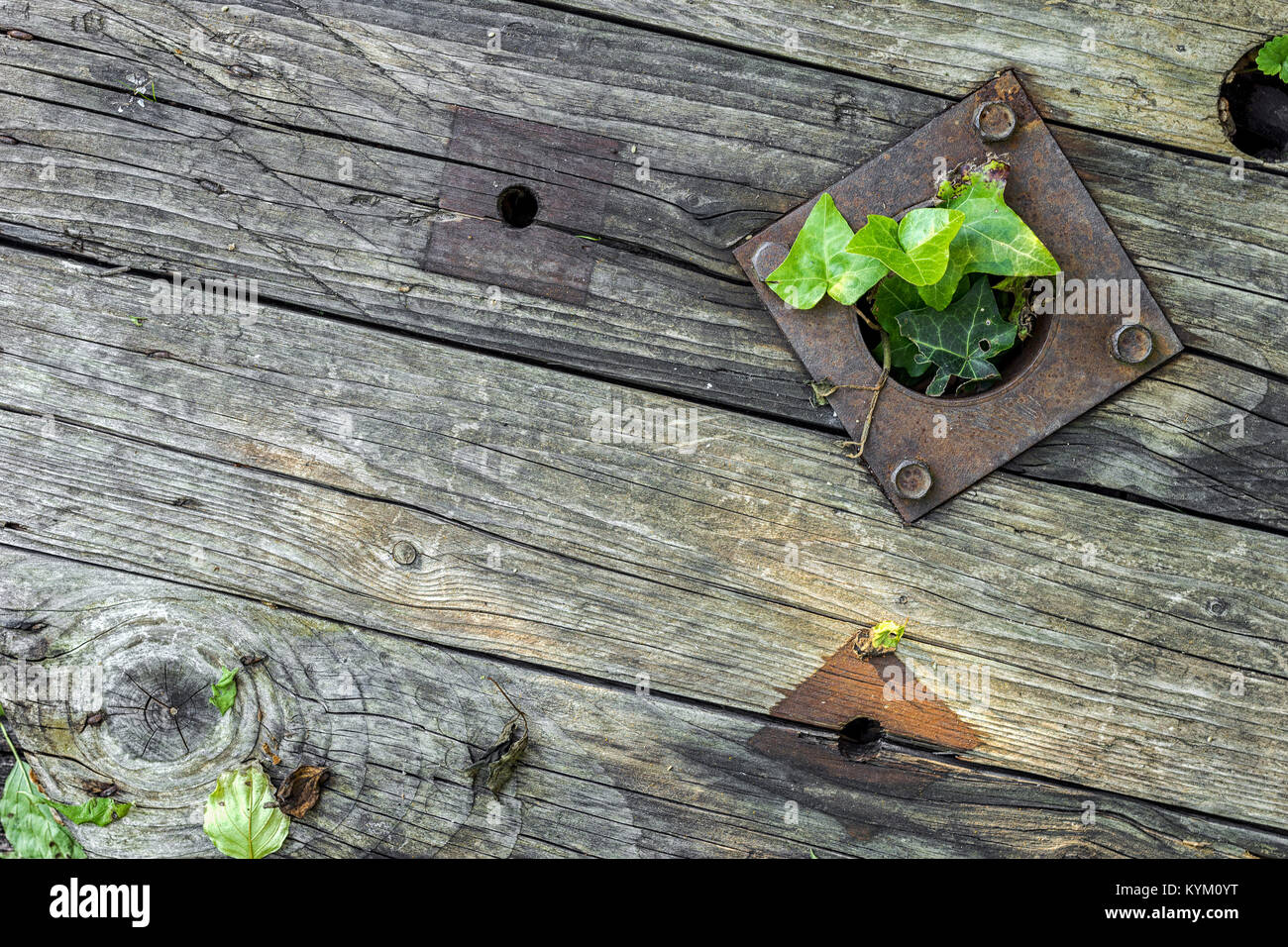 Old wooden boards with rusty metal parts and holes with some vegetation coming through Stock Photo