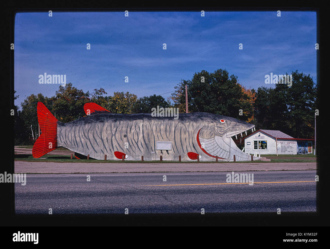 Roadside America-- Big Fish Supper Club, Bena, Minnesota 38213535231 o Stock Photo