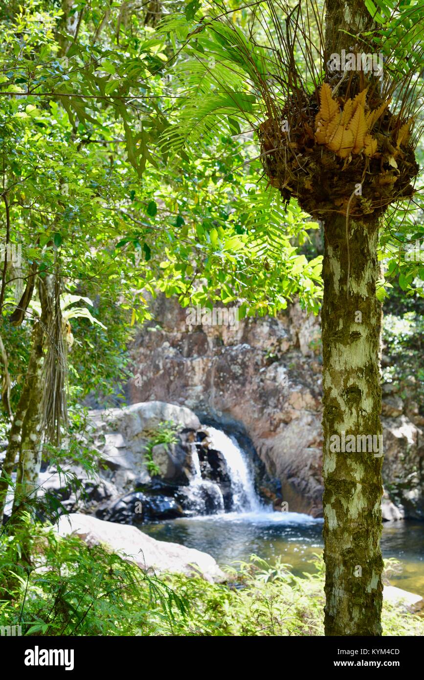 Crystal Clear And Inviting Stock Photos Crystal Clear And