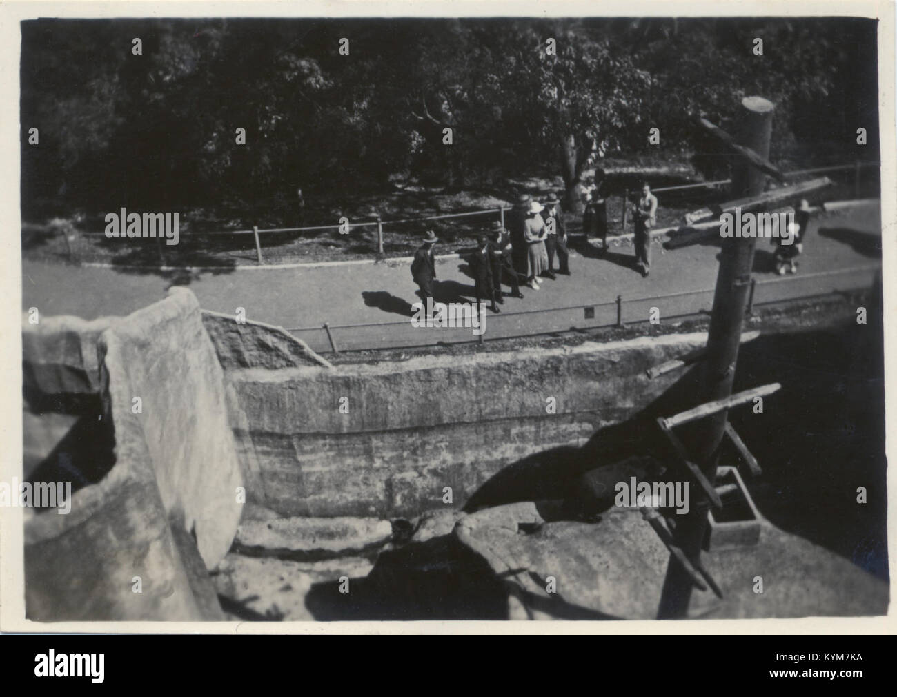 Black Bear - Taronga Park Zoo, Sydney 1936 34503437823 o Stock Photo