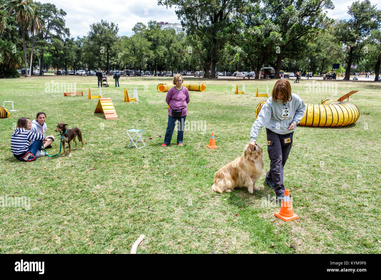 Buenos Aires Argentina,Bosques de Palermo,Parque 3 de Febrero,public park,park,dog,pet,animal,obstacle course,training,Hispanic,woman female women,His Stock Photo