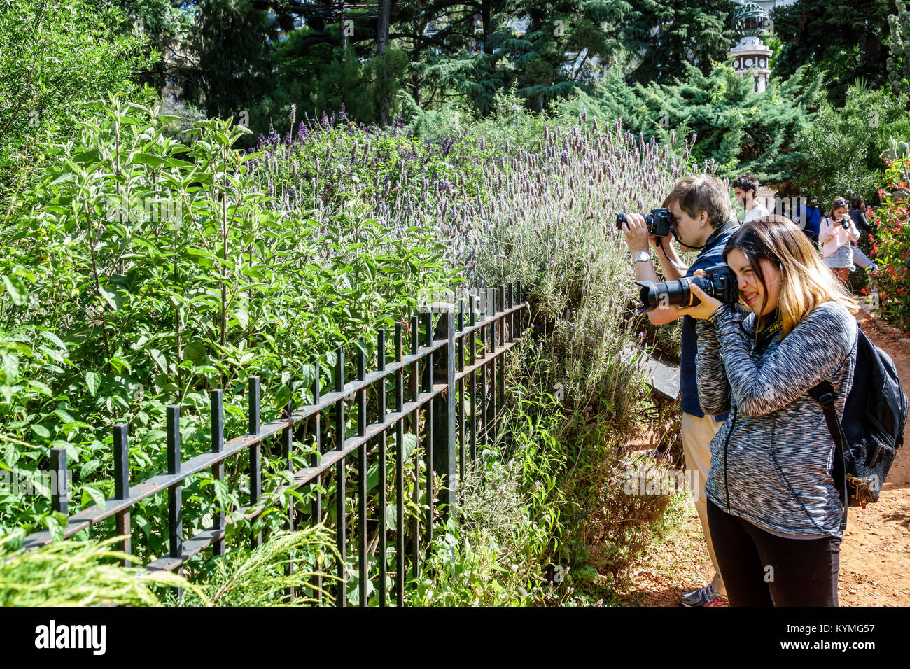 Buenos Aires Argentina,Palermo,park,Jardin Botanico Carlos Thays botanical garden,pathway,photography club,camera,lavender garden,man men male,woman f Stock Photo