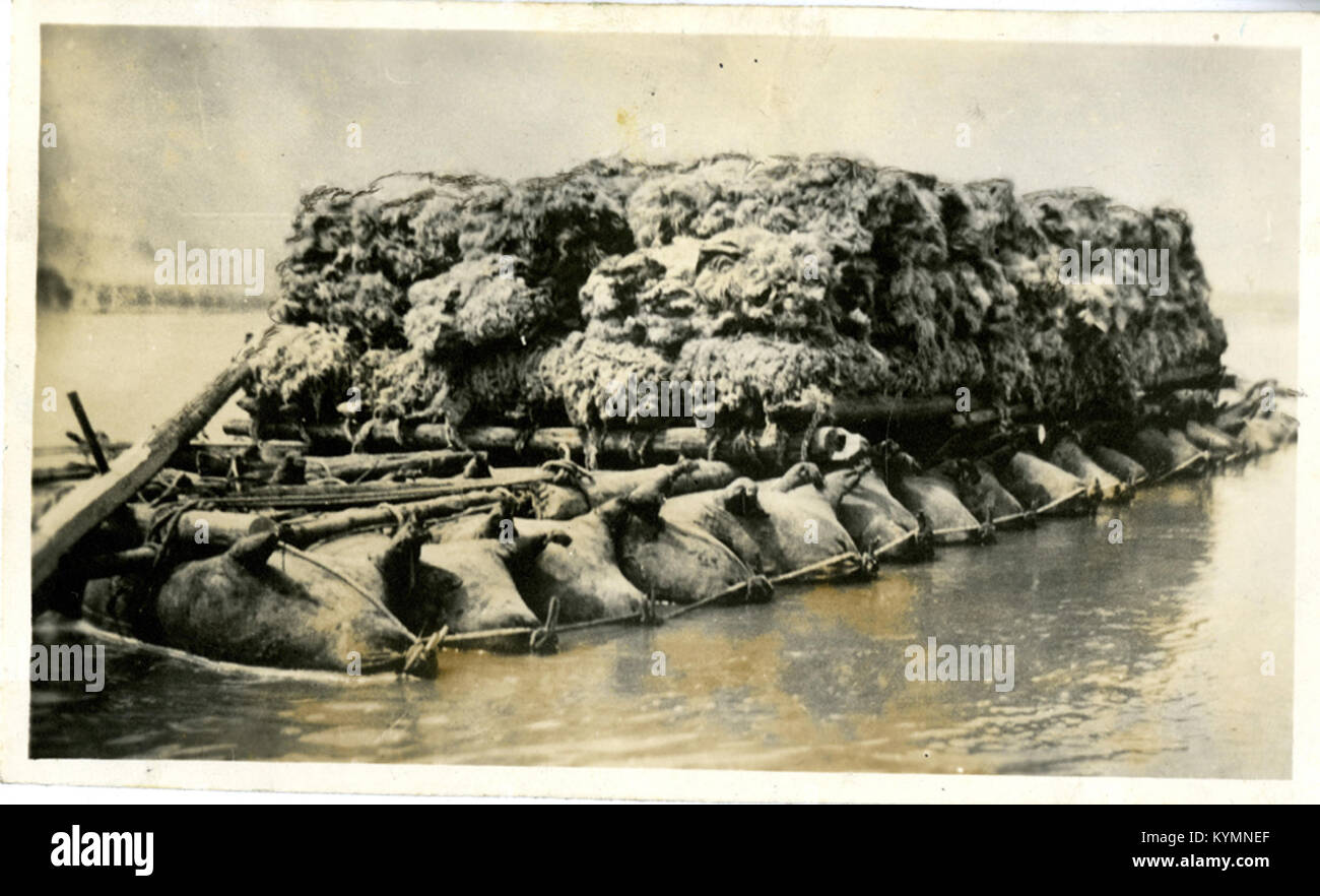 A small ox or cow skin raft loaded with goods in China, captured in a ...