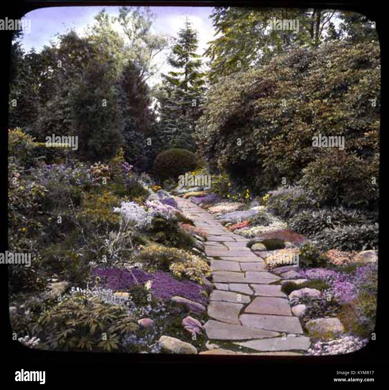 Hammersmith farm hires stock photography and images Alamy