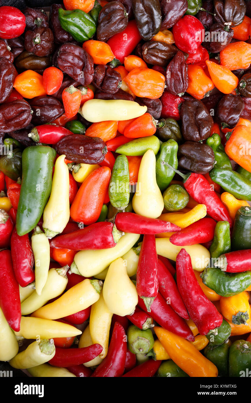 different chili peppers Stock Photo