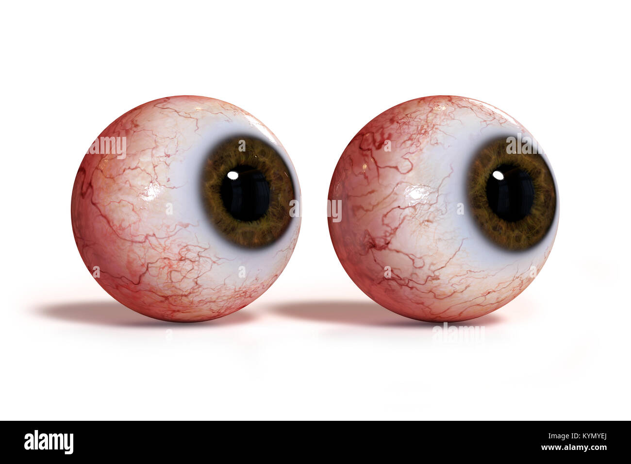 two realistic human eyes with brown iris, isolated on white background (3d render) Stock Photo