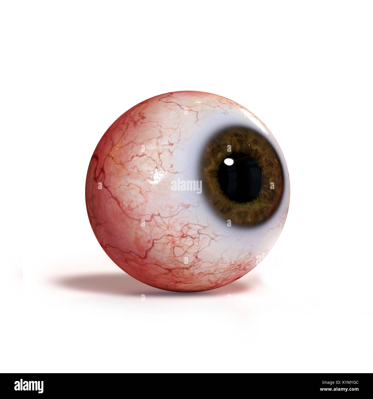 x-default Stock Photo