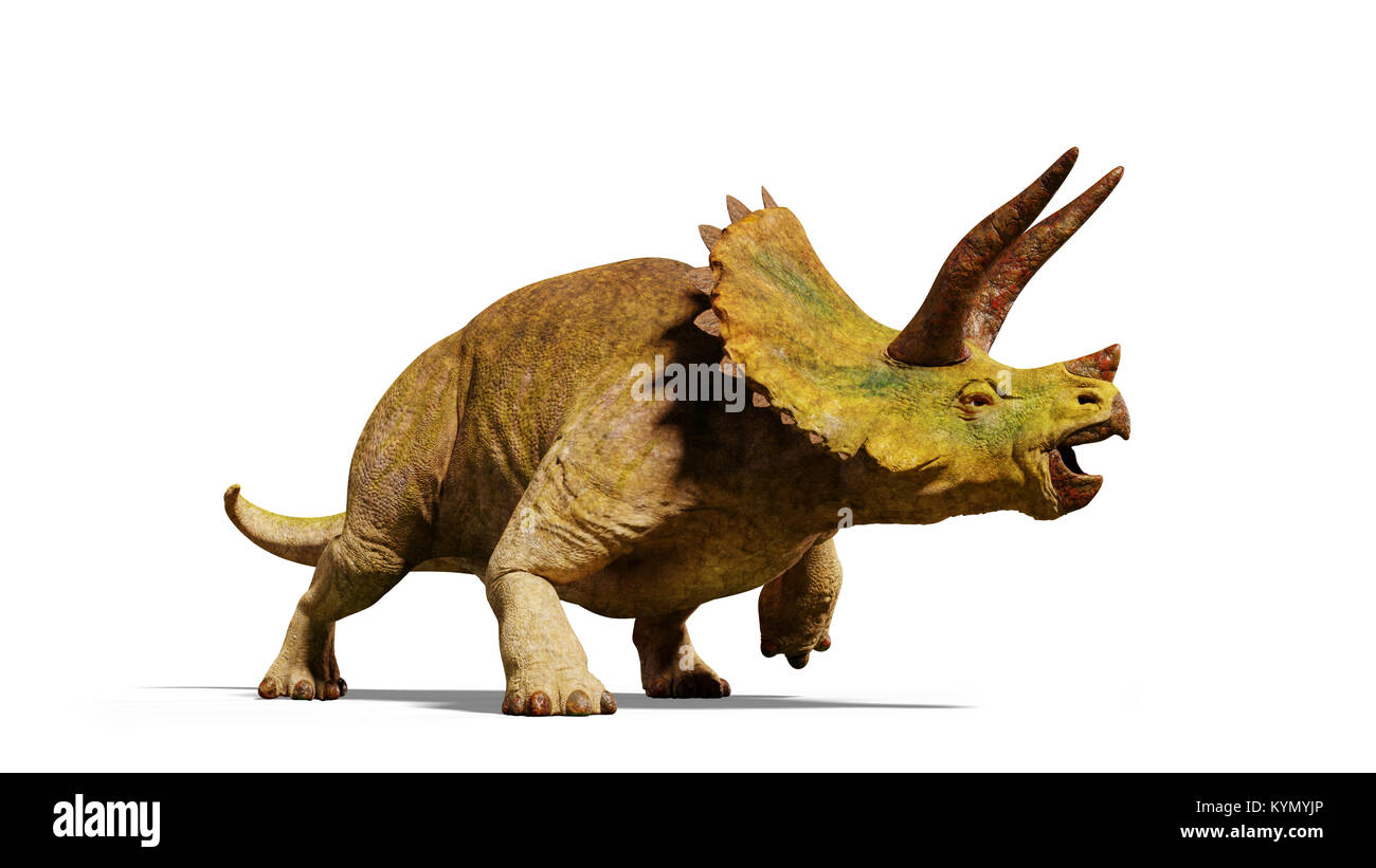 Triceratops horridus dinosaur (3d render isolated with shadow on white background) Stock Photo