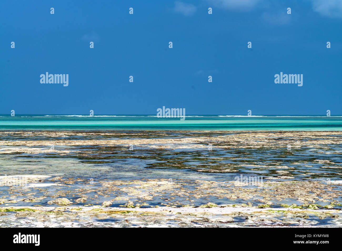Low tide on tropical beach Stock Photo