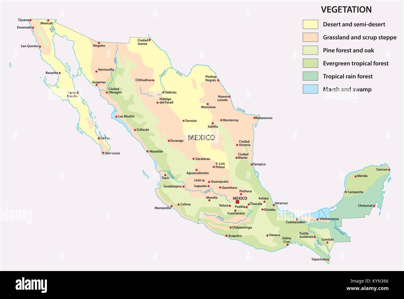 vegetation vector map of Mexico country with important cities Stock Vector
