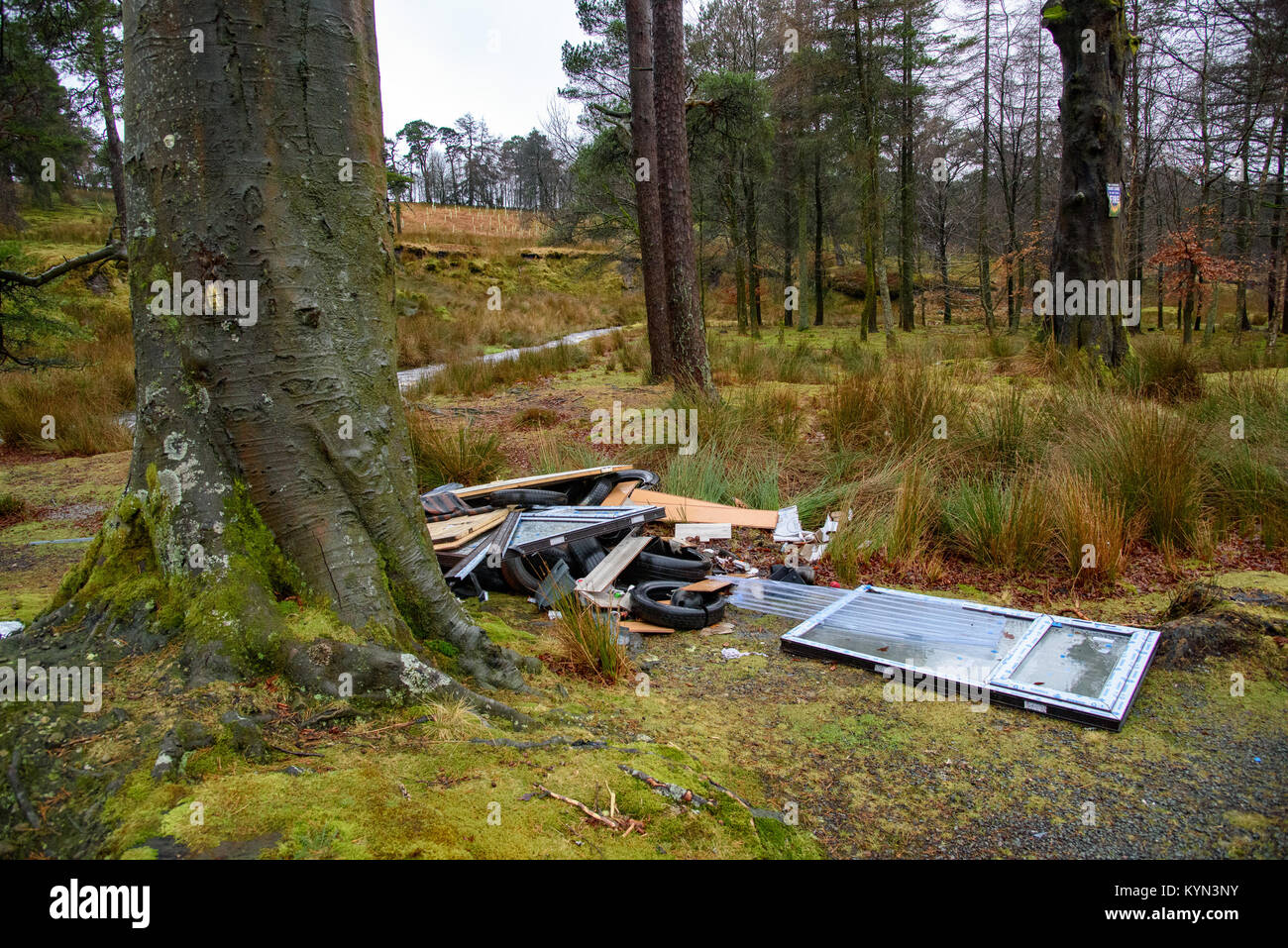 Fly tipping in an Area of Outstanding Natural Beauty. Rubbish dumped in the Forest of Bowland, Marshaw, Lancaster, Lancashire, United Kingdom. 15.1.18 Stock Photo