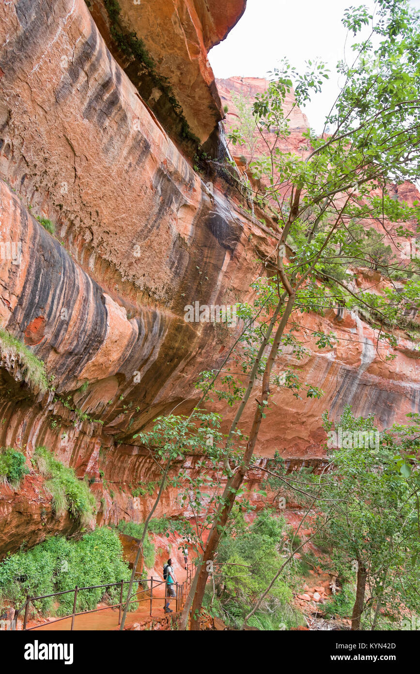 Hurricane, Utah, USA June 3, 2015 A group of tourists, at sunset
