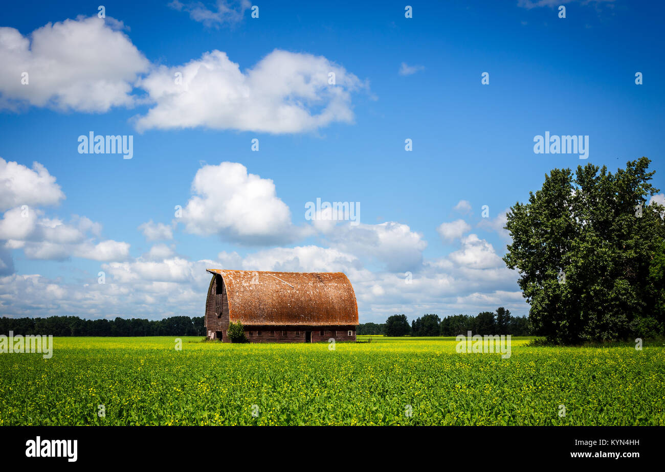 wooden animal barn